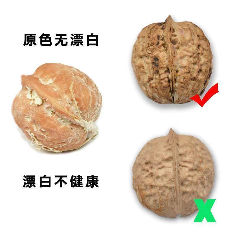 云南大理漾濞南涧无量山高山老树薄皮纸皮核桃批发（干核桃）