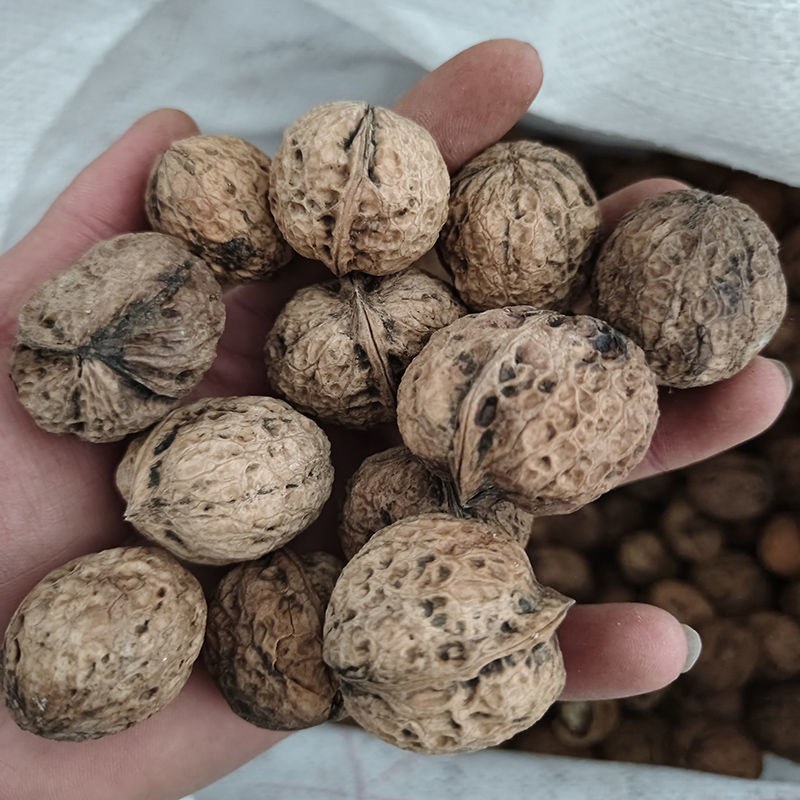 云南大理漾濞南涧无量山高山老树薄皮纸皮核桃批发（干核桃）