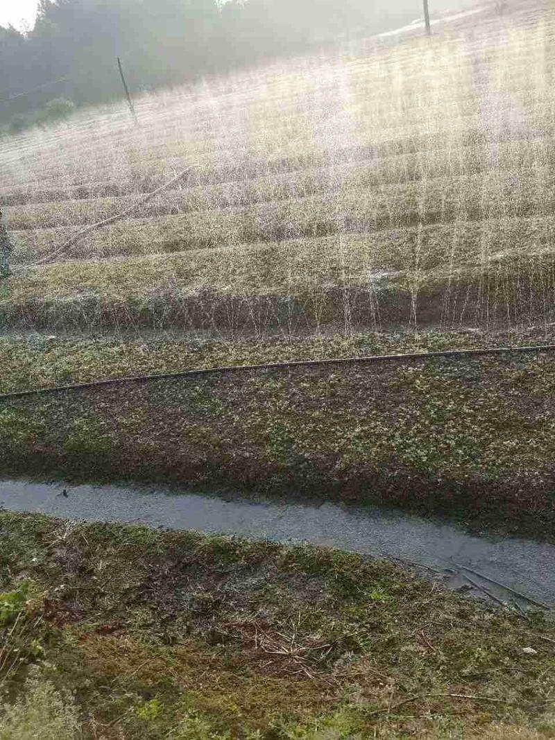 水带PE软管输水带软带32-110主管水带农灌溉