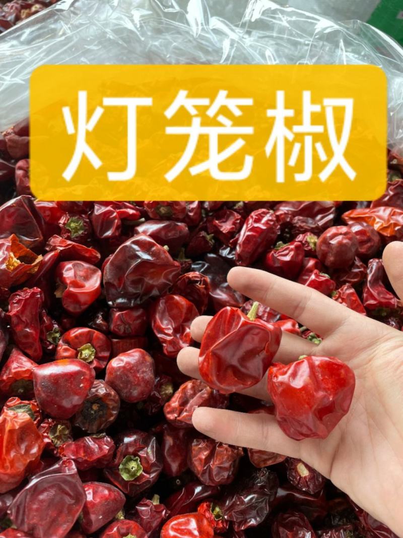 中辣超香贵州灯笼辣椒灯笼椒，新货上市，香而不辣的干辣椒，