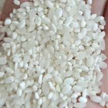 大米碎米酒米饲料米各种规格现货供应全国发货