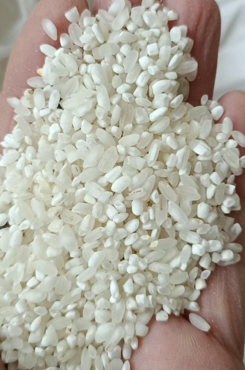 大米碎米酒米饲料米各种规格现货供应全国发货