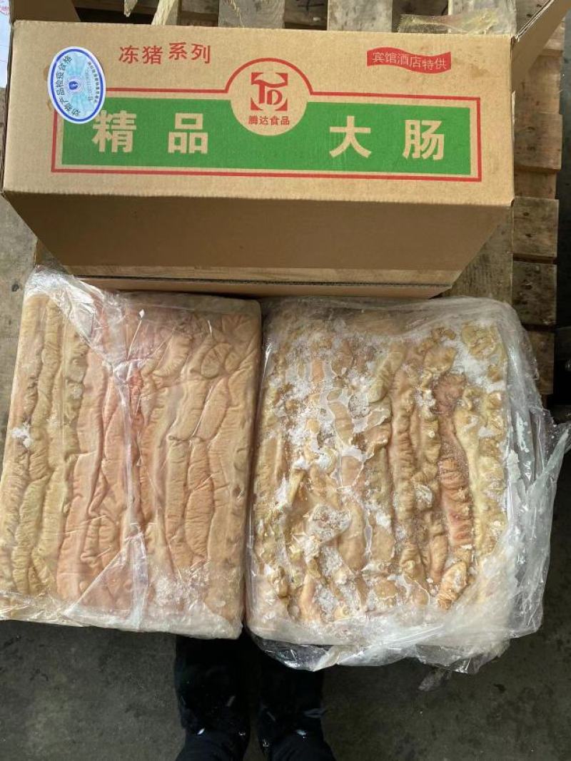 猪大肠冷冻免洗大肠抄水肠火爆干煸批发