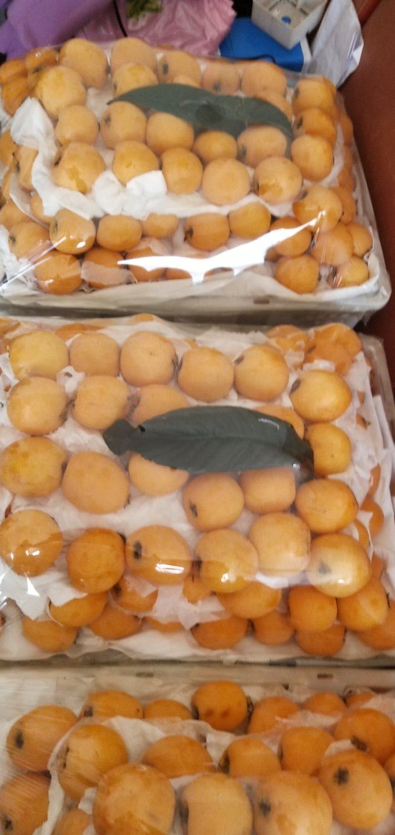 高山优质五星大琵琶，品质有保证，价格便宜。