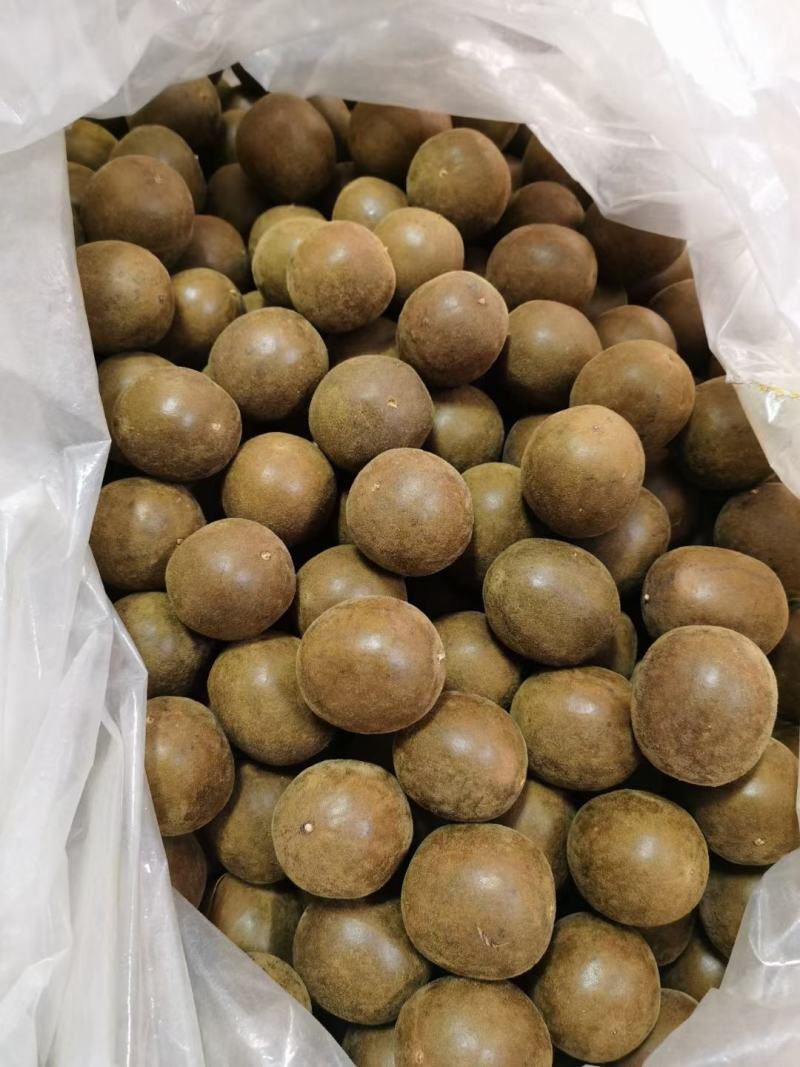 广西桂林罗汉果罗汉果干果批发大量供应电商果地滩果