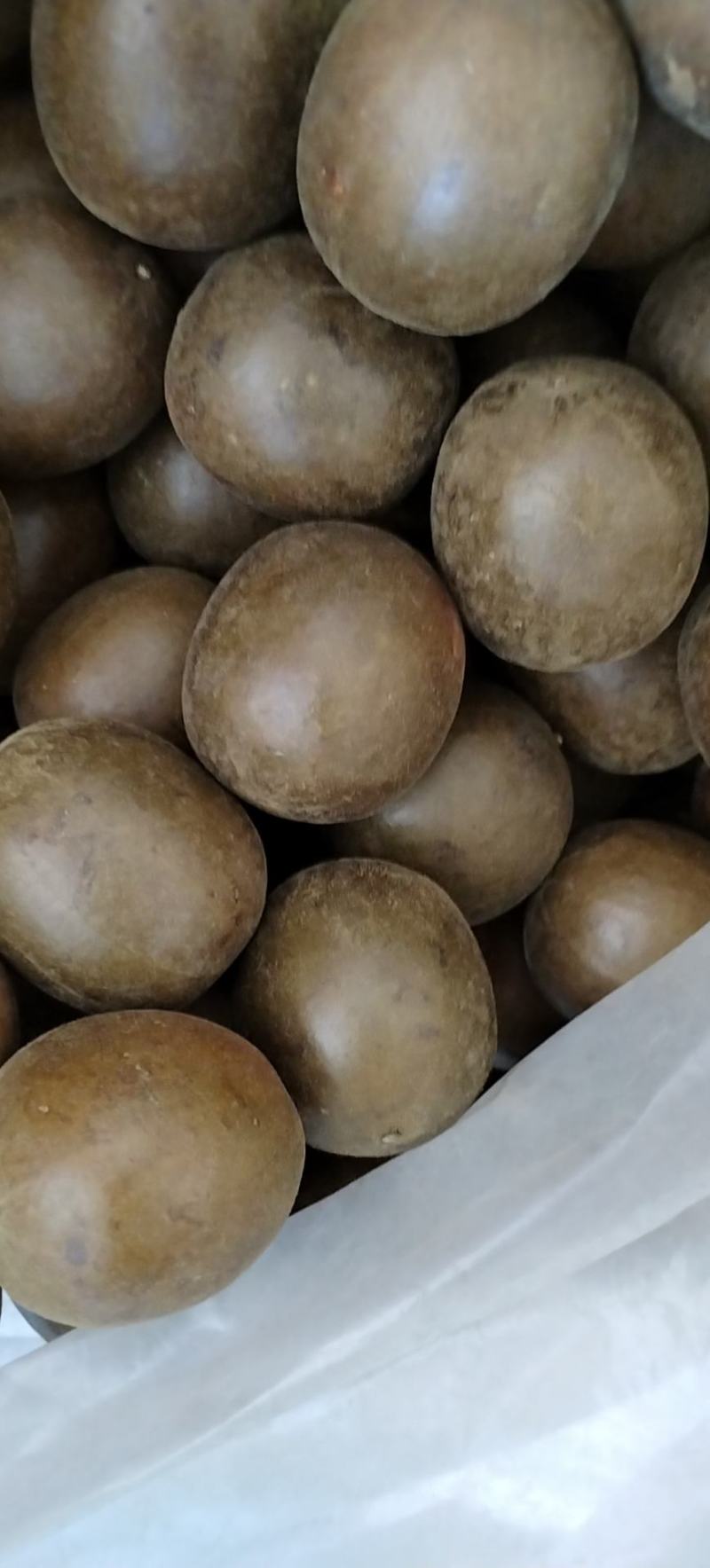 广西桂林罗汉果罗汉果干果批发大量供应电商果地滩果