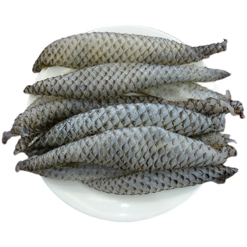 鱼皮凉拌干冰鱼皮炸鱼皮食用水产新鲜冷冻海鲜鱼皮自助餐食材