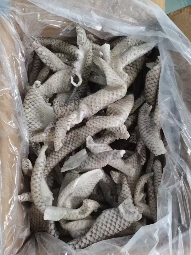 鱼皮凉拌干冰鱼皮炸鱼皮食用水产新鲜冷冻海鲜鱼皮自助餐食材