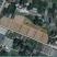 成都市郫都区血皮菜基地直采新鲜冷藏
