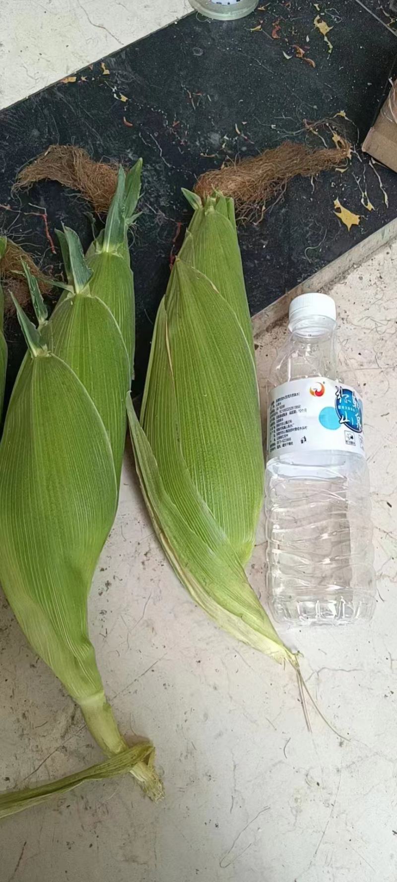 甜糯玉米