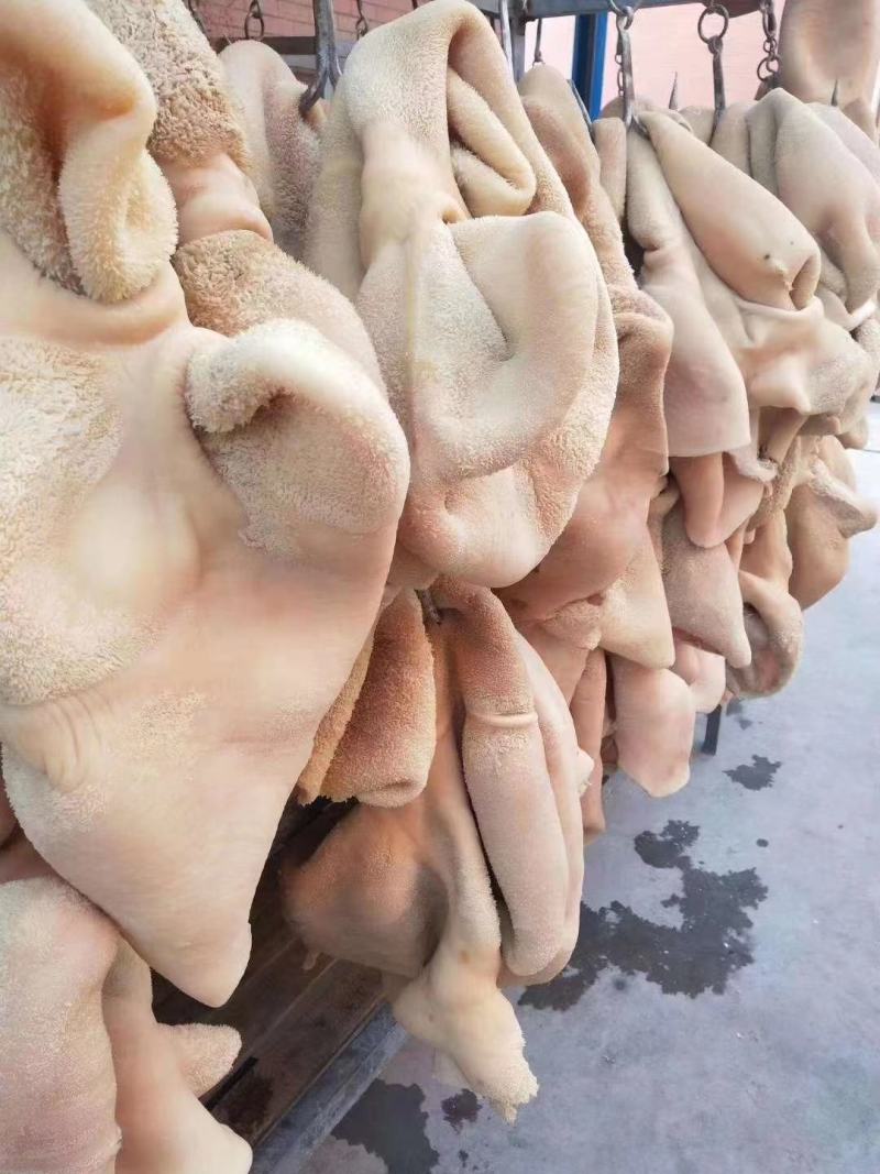 牛大肚牛朋友牛肚火锅食材烧烤食材整个牛肚40斤
