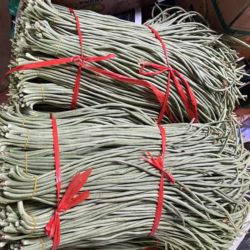 豆角精品长豆角产地现摘现发可视频看货量大从优