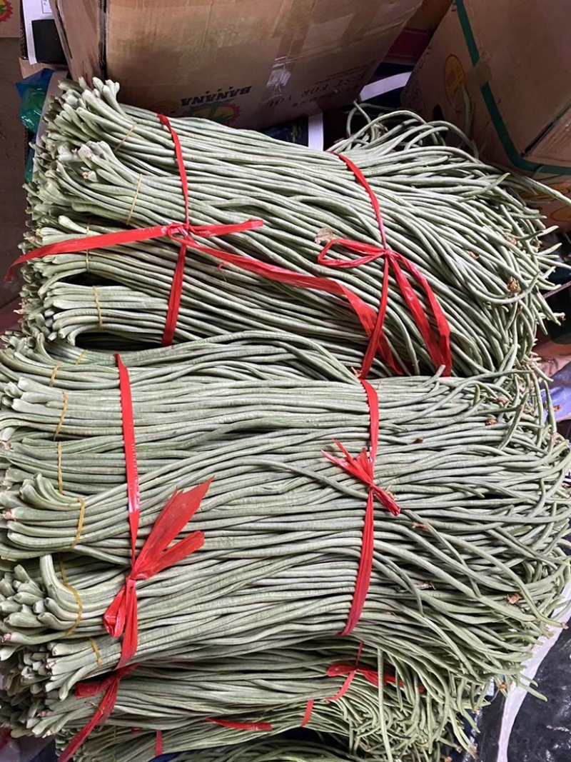 豆角精品长豆角产地现摘现发可视频看货量大从优