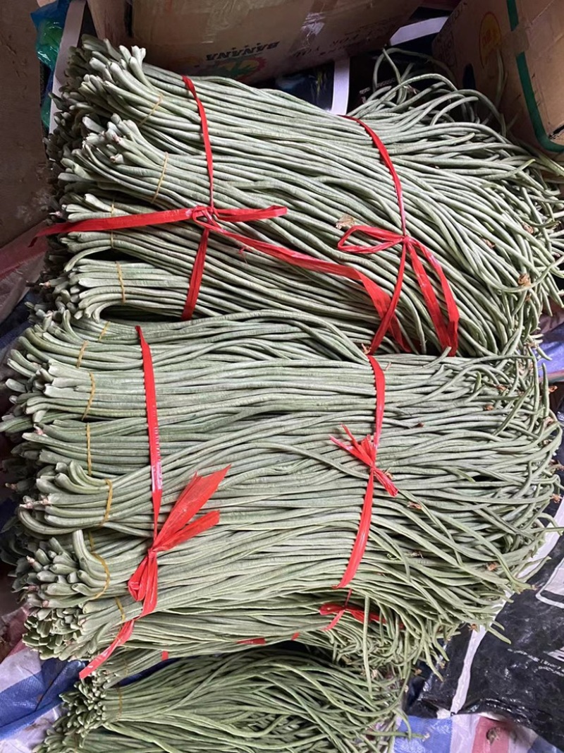 豆角精品长豆角产地现摘现发可视频看货量大从优