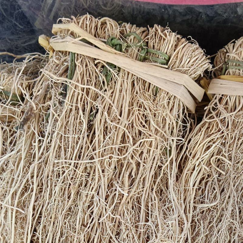 养肝草，中药材养肝草