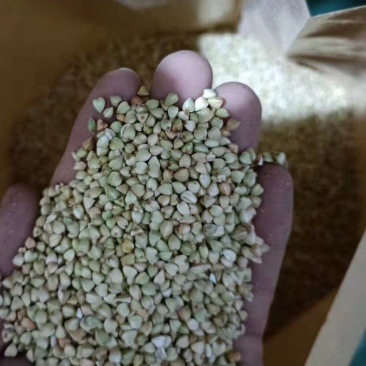 荞麦米厂家直销保证质量