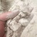 脉冲灰，糠面，白米糠，白米灰，常年有货，米厂直供