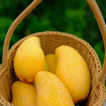大量出售