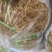 龙须菜，基地发货，质量保证，全国发货，欢迎批发商超联系