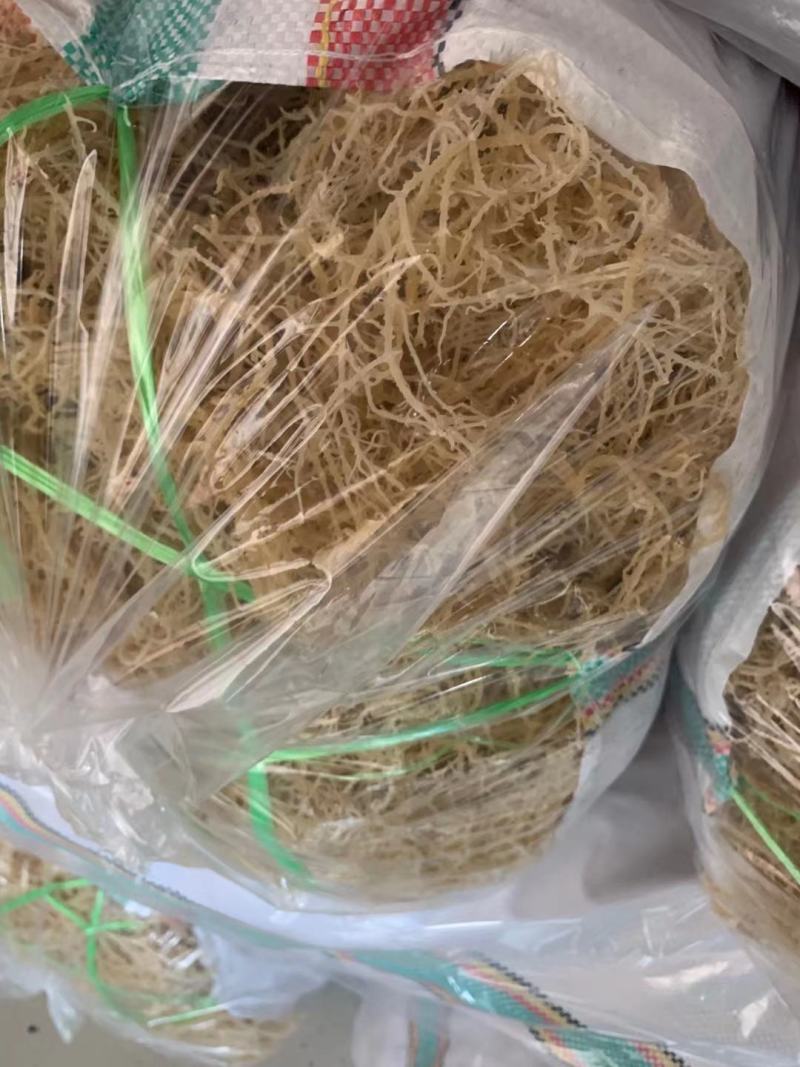 龙须菜，基地发货，质量保证，全国发货，欢迎批发商超联系