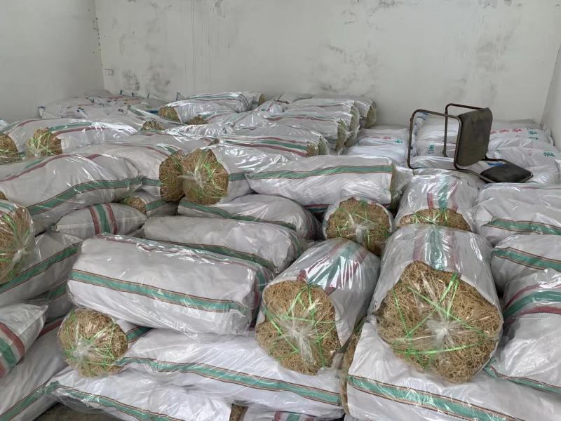 龙须菜，基地发货，质量保证，全国发货，欢迎批发商超联系
