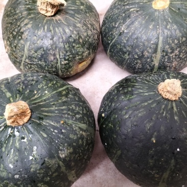 大荔板栗南瓜