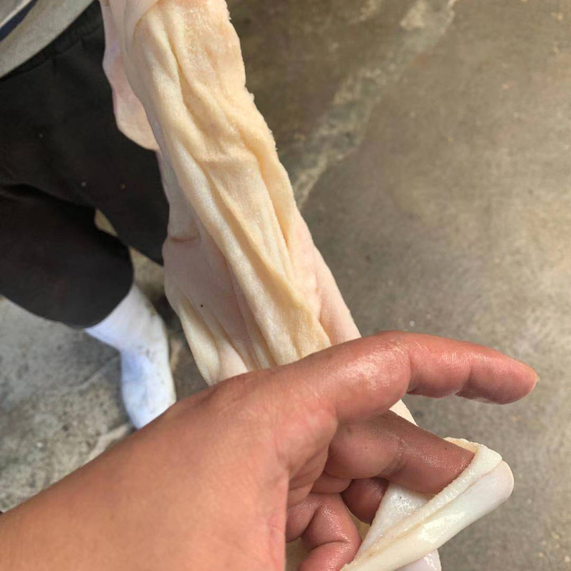 河北羊净肚，新鲜干净，加工厂一手货源，量大从优