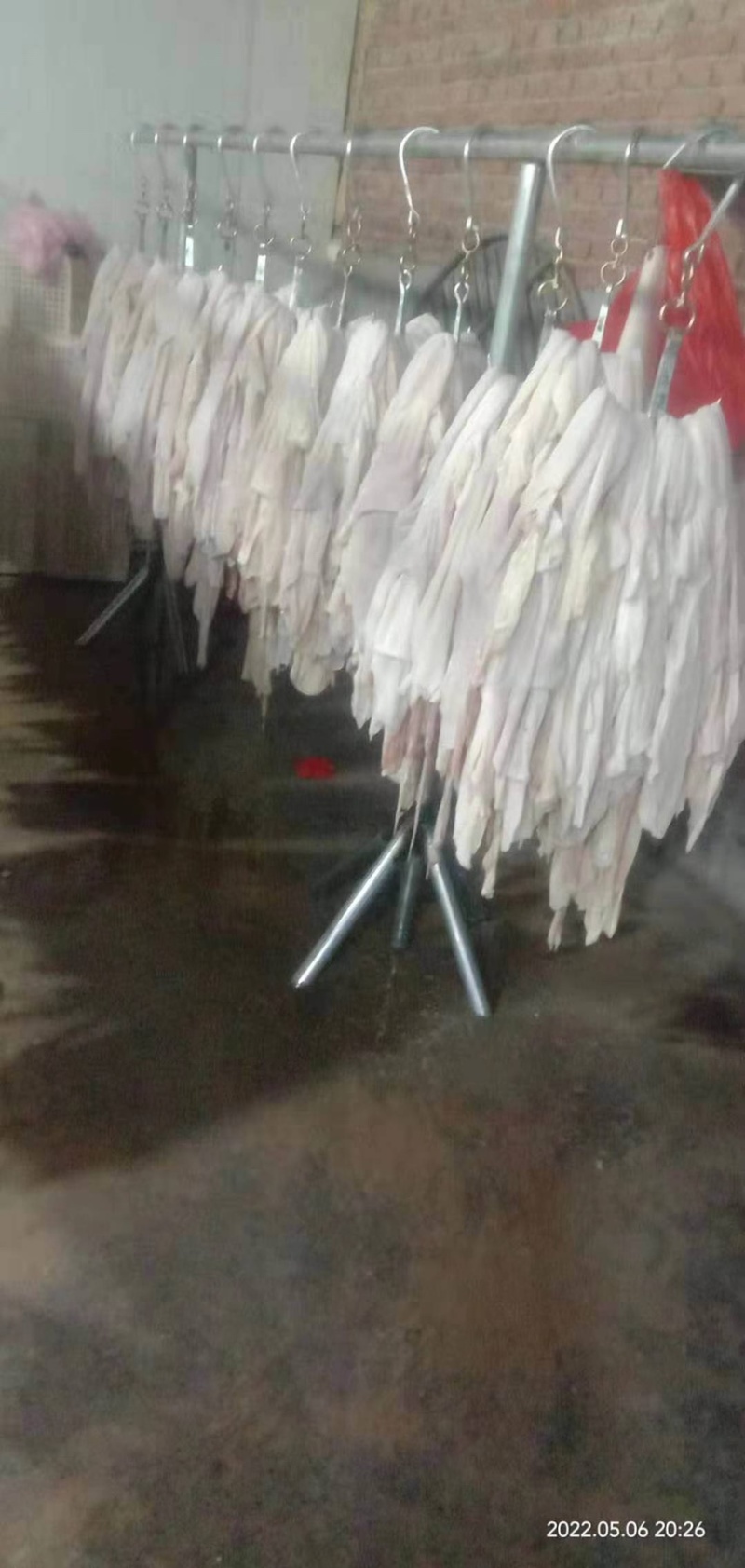 河北羊净肚，新鲜干净，加工厂一手货源，量大从优