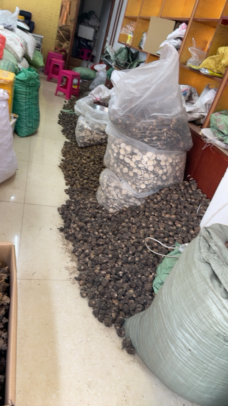 云南玛卡玛卡干果（一斤20个）保证产地一手货源，欢迎选购。