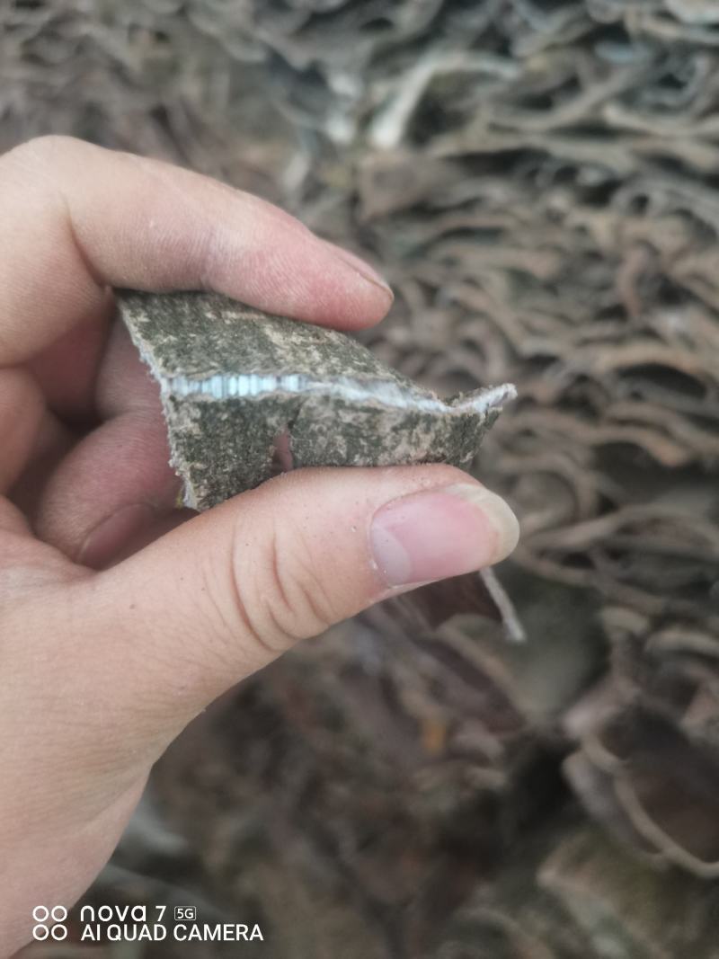 贵州中药材贵州三宝杜仲皮厚杜仲薄杜仲贵州杜仲皮