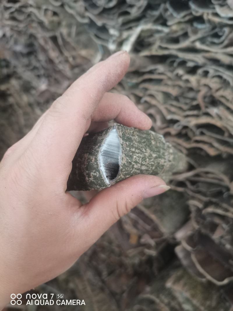 贵州中药材贵州三宝杜仲皮厚杜仲薄杜仲贵州杜仲皮
