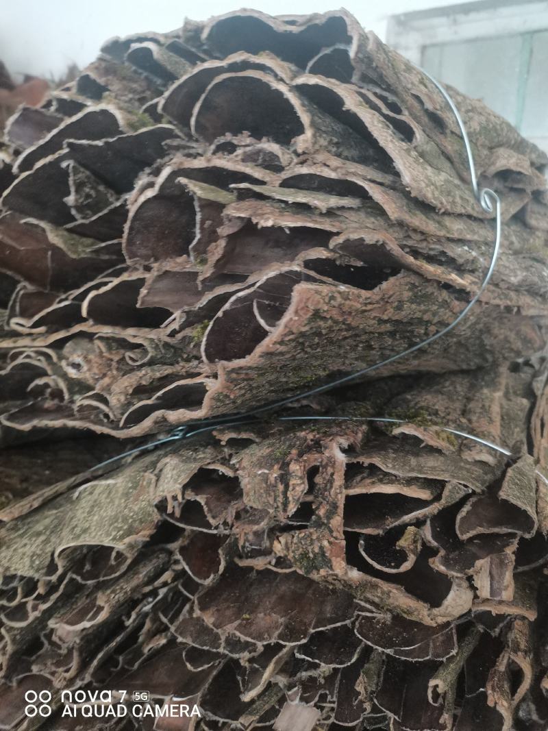 贵州中药材贵州三宝杜仲皮厚杜仲薄杜仲贵州杜仲皮