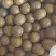 罗汉果货源充足，价格稳定，长年供货，质量好