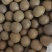 罗汉果货源充足，价格稳定，长年供货，质量好