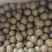 罗汉果货源充足，价格稳定，长年供货，质量好
