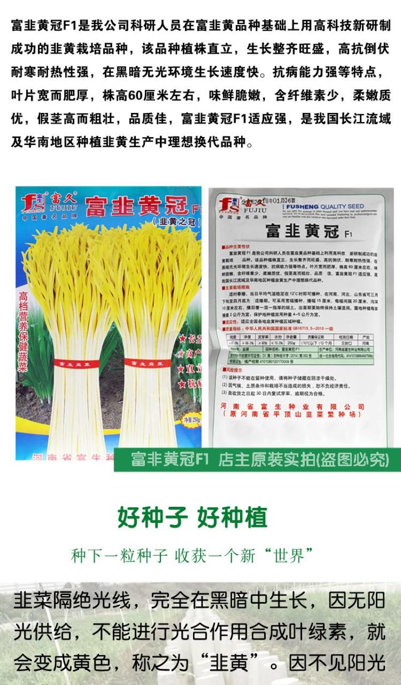 富韭黄冠韭菜种子，250克