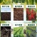大量元素水溶肥水溶性肥料生根膨果膨大增甜全国包邮