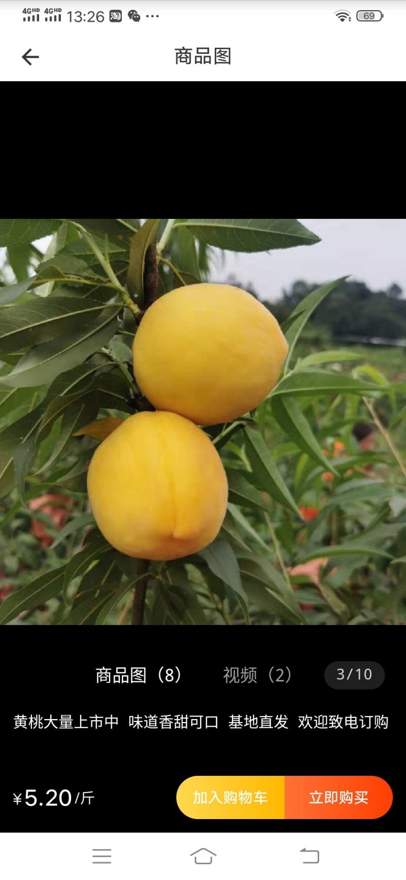 水蜜桃