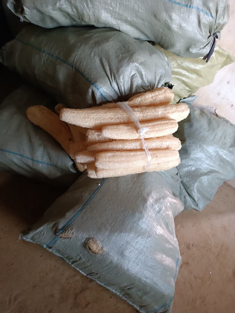 丝瓜络自产自销