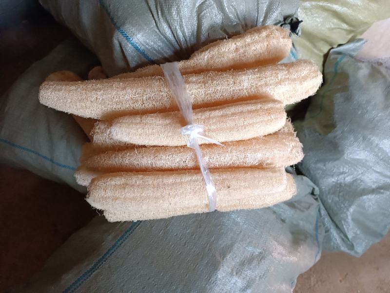 丝瓜络自产自销