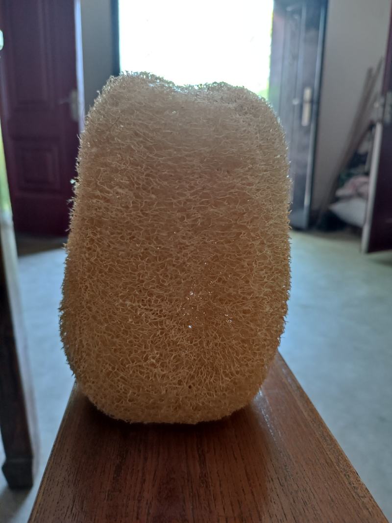 丝瓜络自产自销