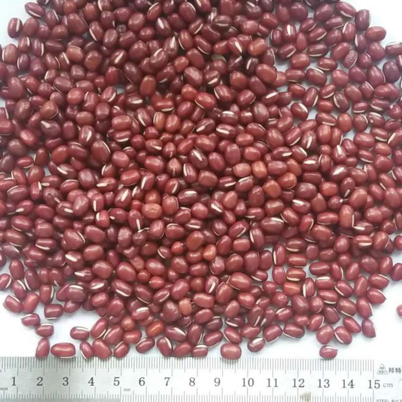 红小豆大粒22年新货东北大红豆现货食品原料豆沙原料