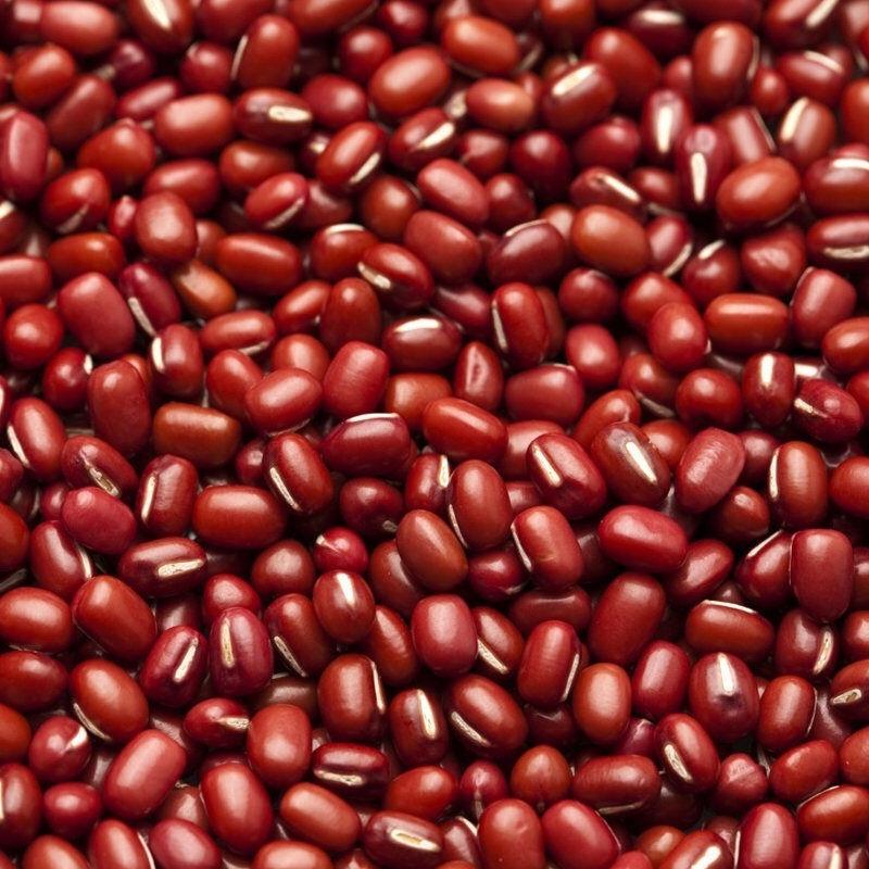 红小豆大粒22年新货东北大红豆现货食品原料豆沙原料