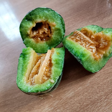 山东博洋甜瓜货源充足，价格便宜，产地一手货源，欢迎选购