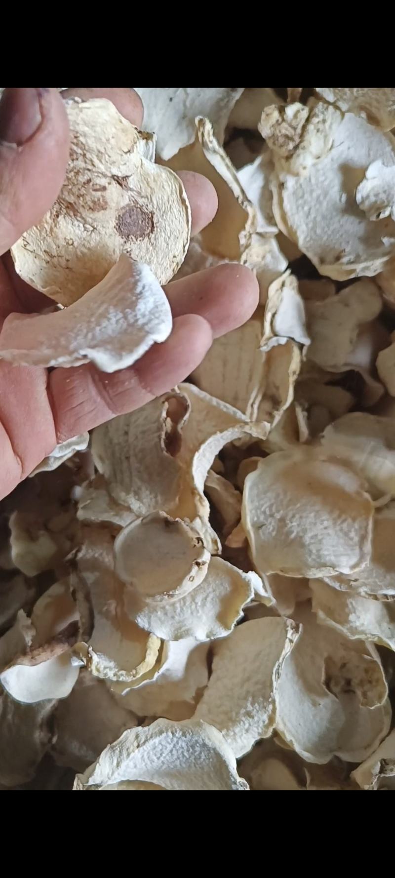 魔芋干片包邮魔芋干魔芋片魔芋豆腐原材料