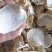 魔芋干片包邮魔芋干魔芋片魔芋豆腐原材料