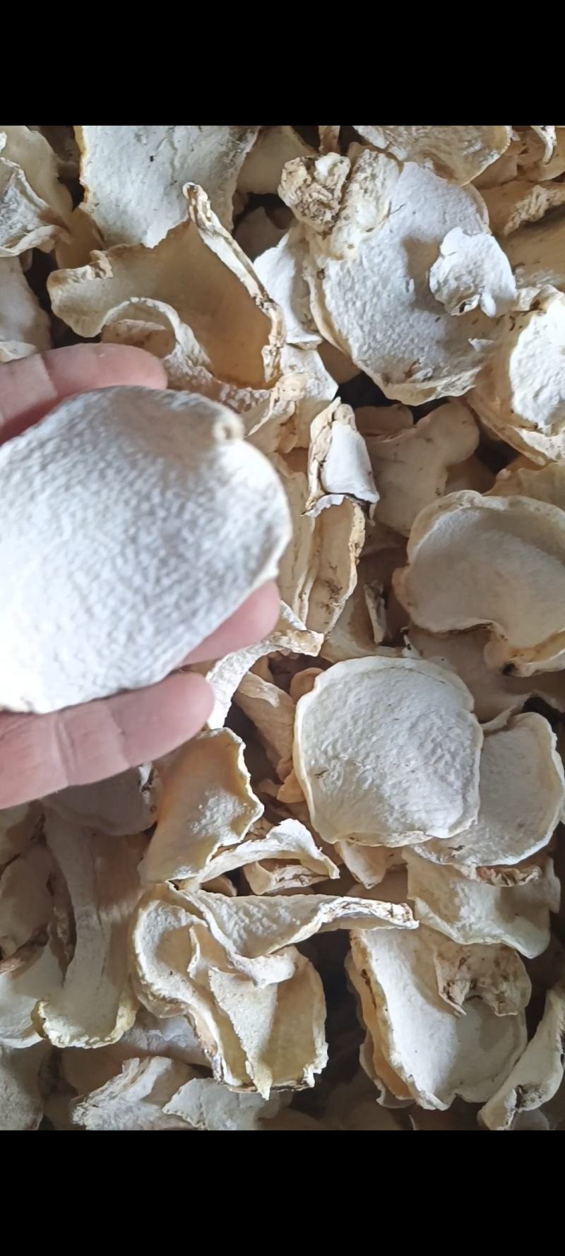 魔芋干片包邮魔芋干魔芋片魔芋豆腐原材料