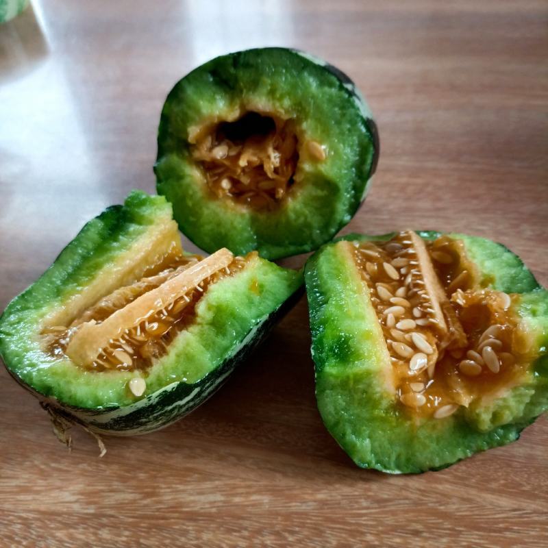 山东博洋甜瓜货源充足，价格便宜，产地一手货源，欢迎选购