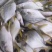 深海金鲳鱼200-300，8公斤装，20冰衣