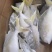 深海金鲳鱼200-300，8公斤装，20冰衣